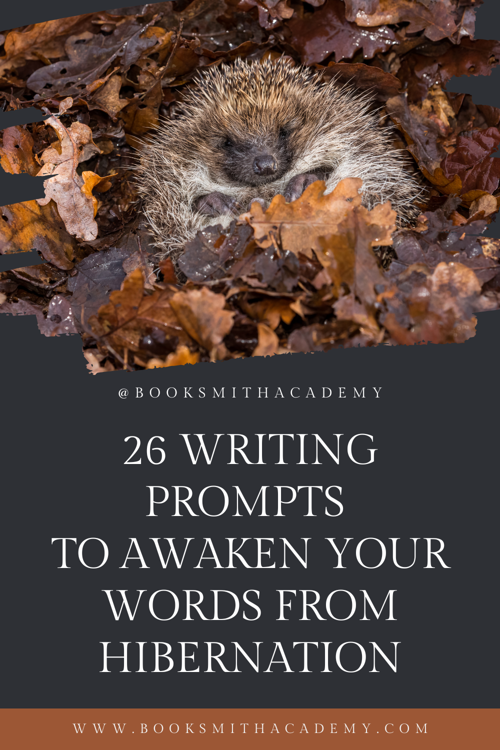 26 writing prompts to awaken you from hibernation
